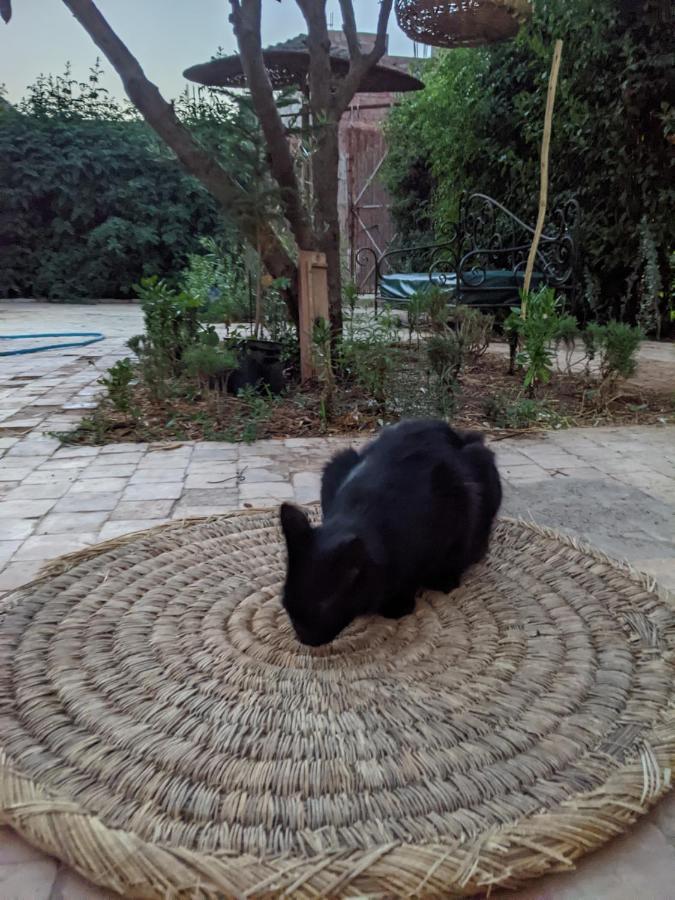 Dar Saafia Villa Marrakesh Luaran gambar
